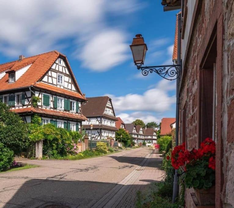 Au Petit Nid De Seebach Extérieur photo
